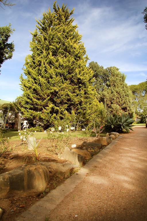 Fynbos Guest House Риверсдейл Экстерьер фото